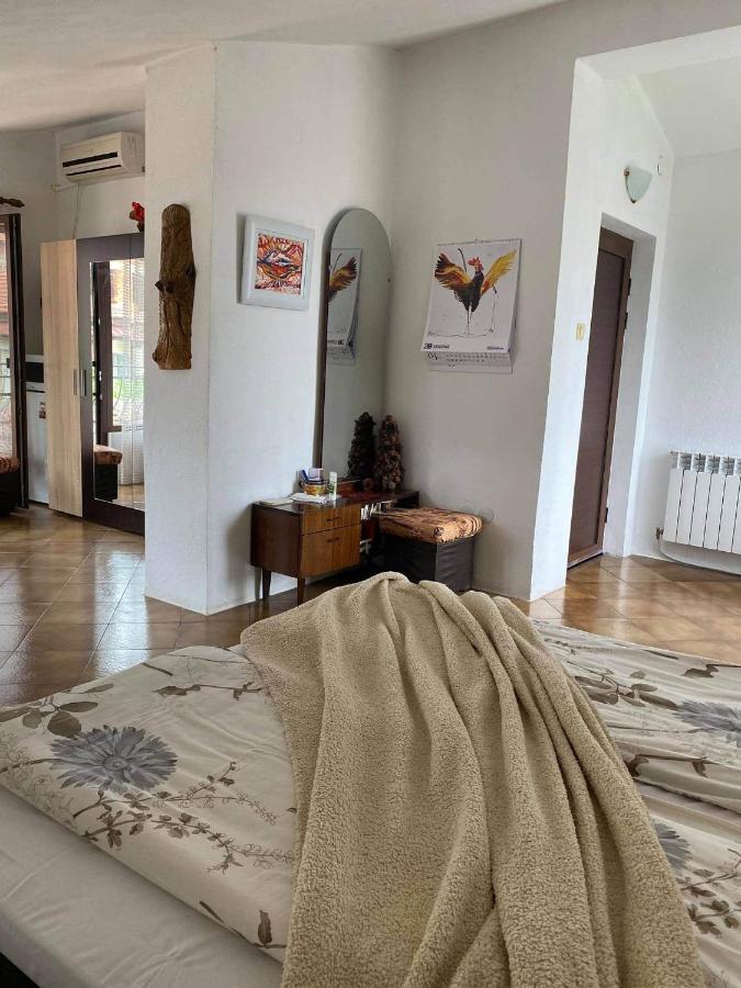 ספרבה בניה Art Studio מראה חיצוני תמונה